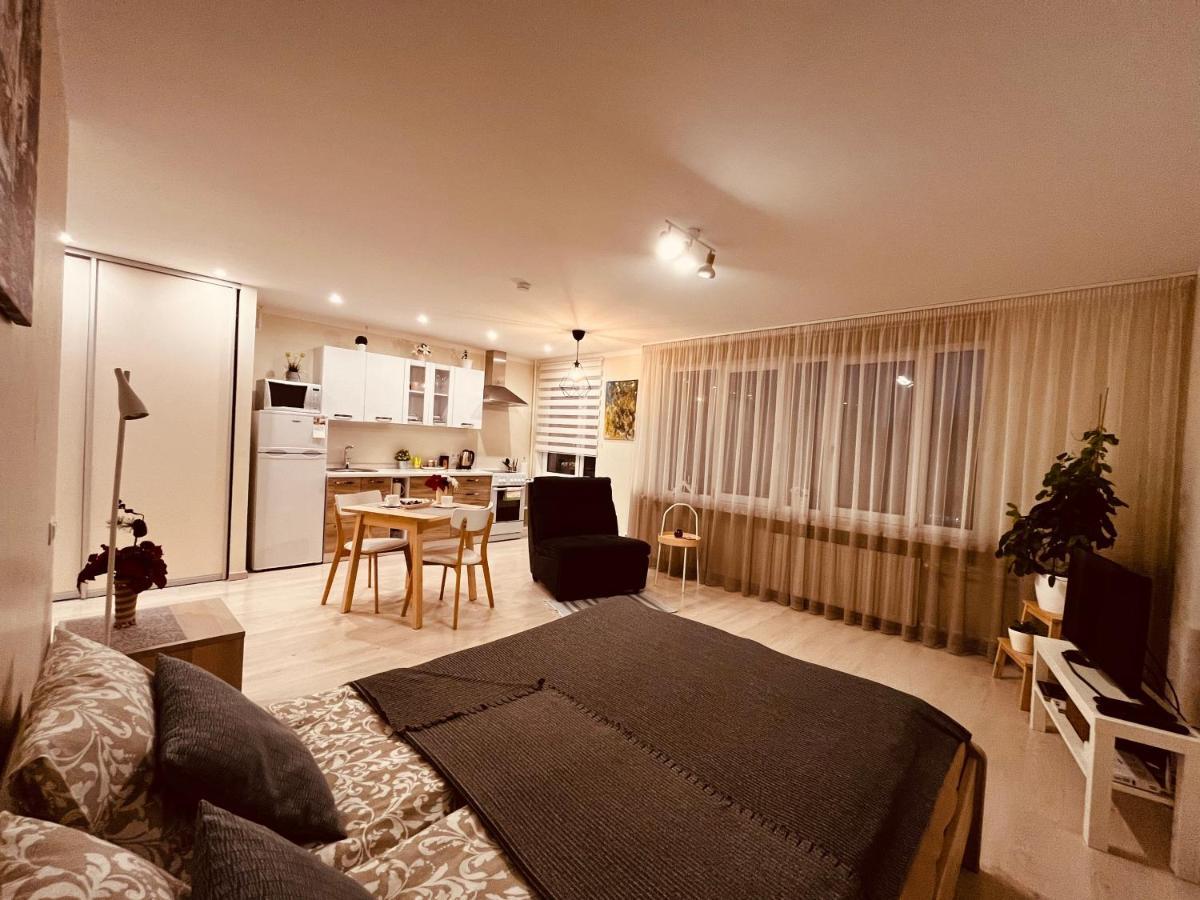 Apartment128 Valmiera Bagian luar foto